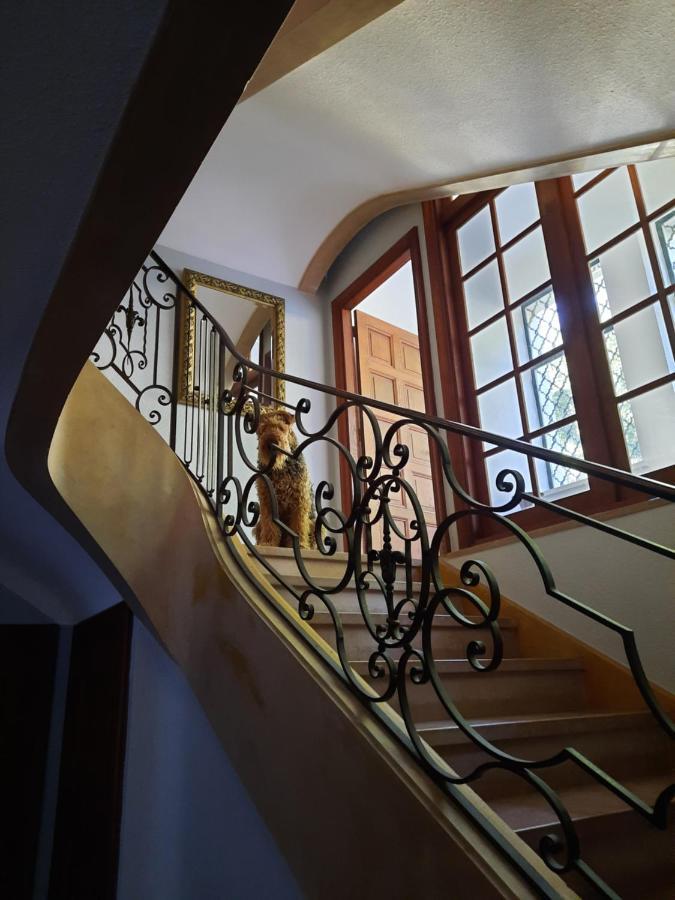 Le Clos Des Soyeux Saint-Victor-sur-Rhins Exterior photo