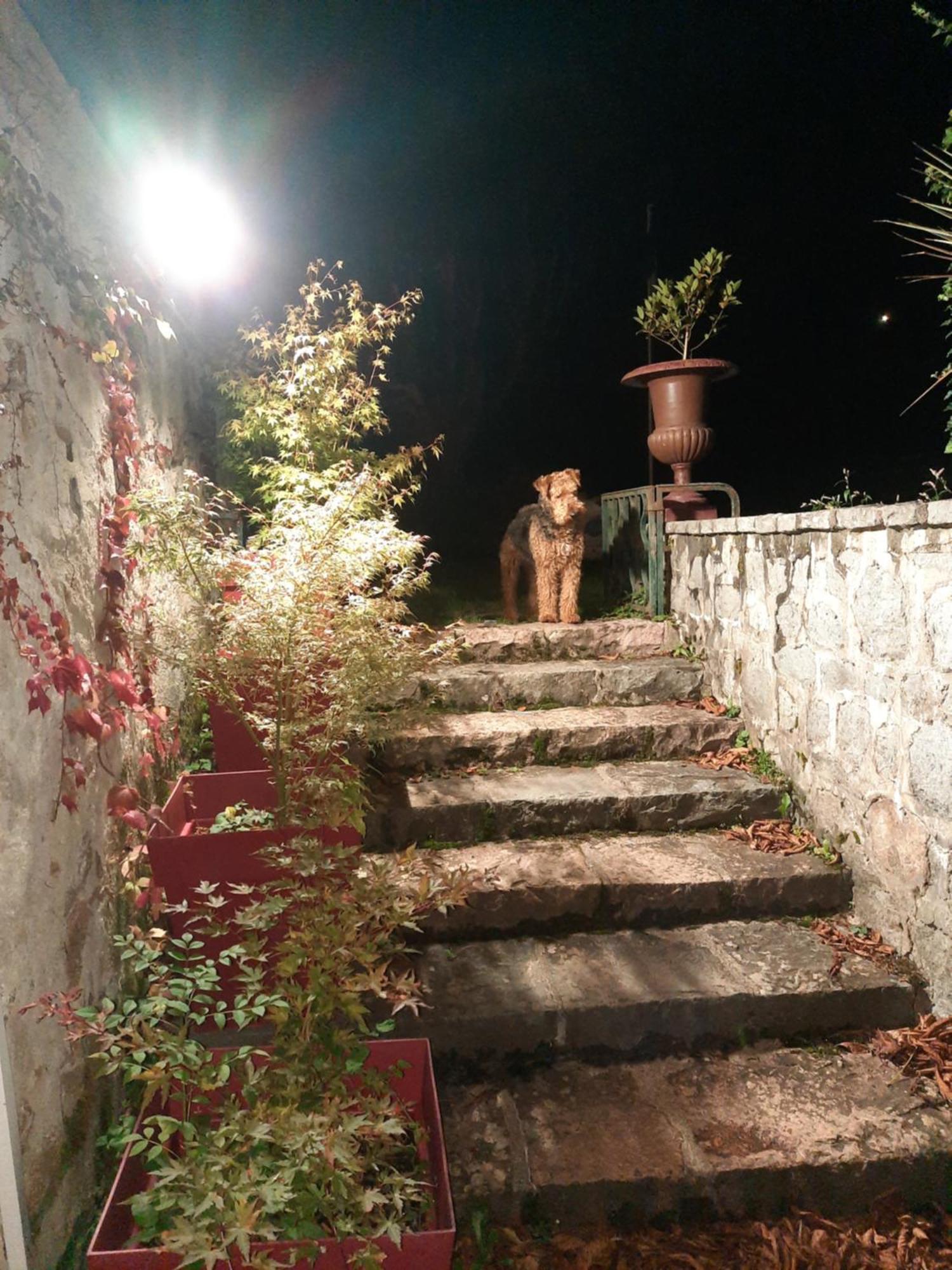 Le Clos Des Soyeux Saint-Victor-sur-Rhins Exterior photo